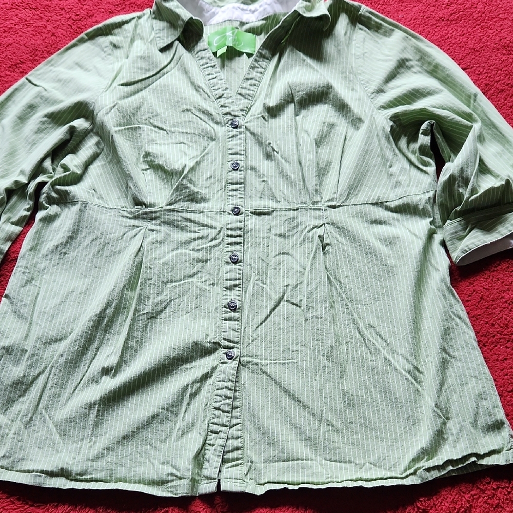 Avenue Green 3/4 Sleeve Button Down Blouse